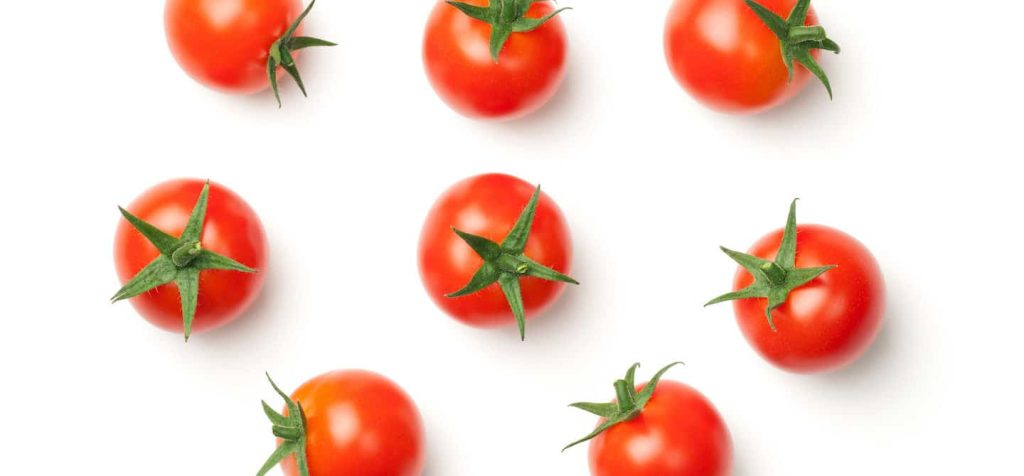 lectin in tomatoes 