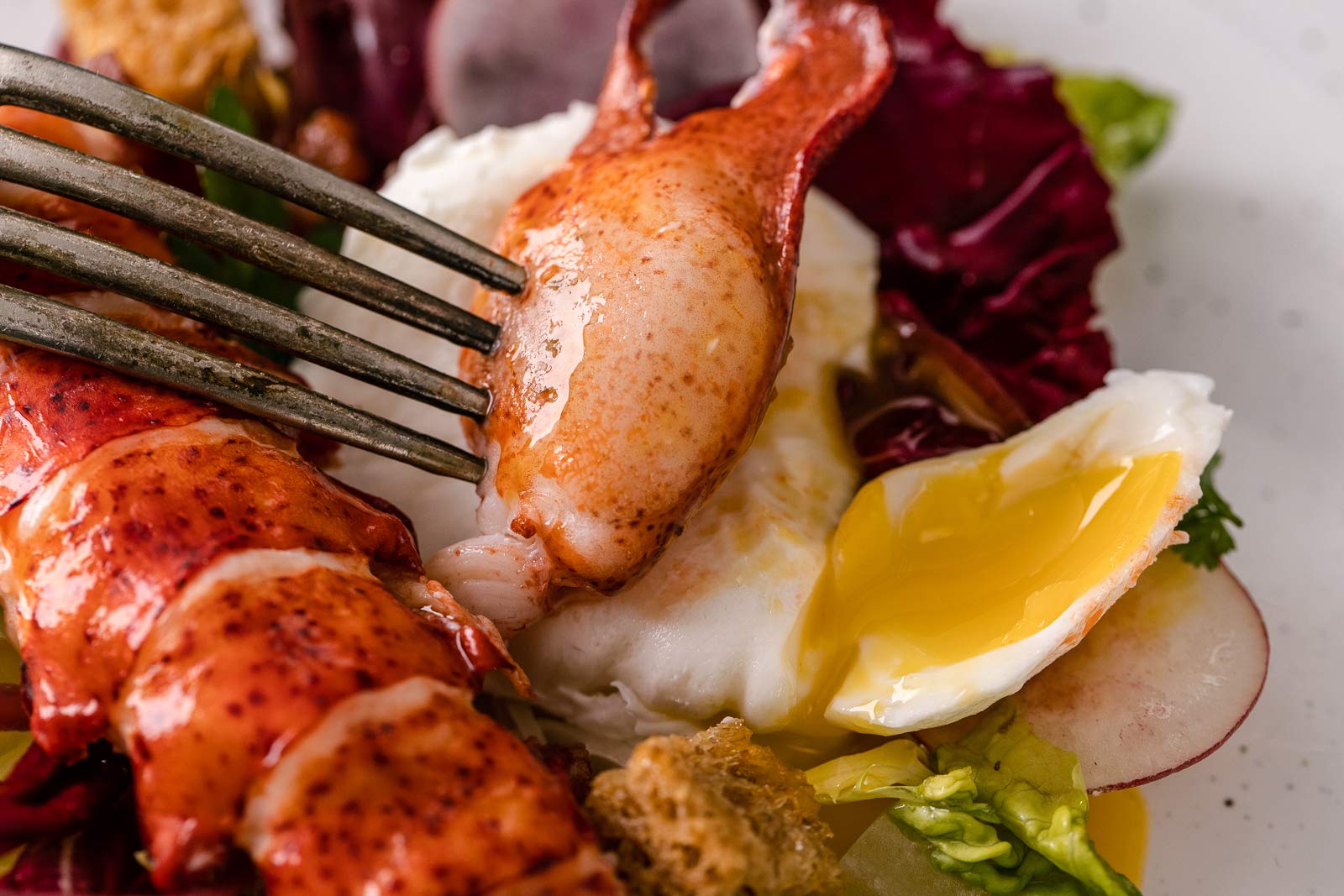 Frozen Lobster Meat Online Means Health Benefits